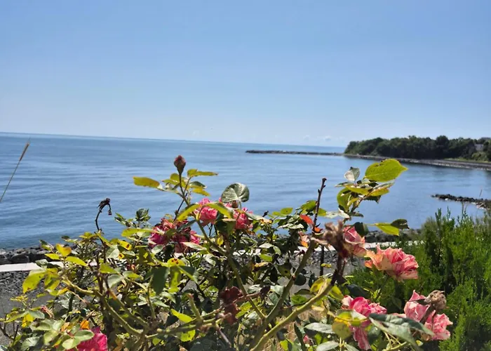 Elite Family Kiten (Burgas)