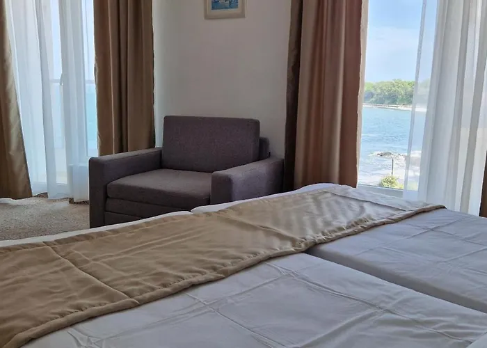 Elite Family キテン