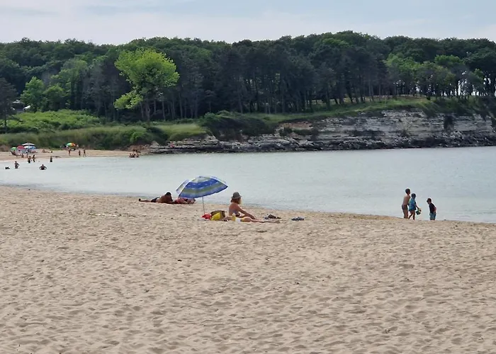 Elite Family キテン